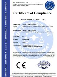 Shenzhen Authoritative Ce Certification Iso System