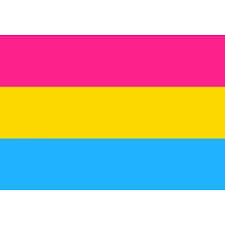 Pansexual pride flag falling diamonds on black wall tapestry. Pansexual Pride Flag Pansexual Medium Hand Flag Shop Pride Flag