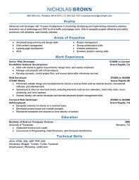 For a decent and well presented web developer resume, you can check this template out! Resume Examples Developer Developer Examples Resume Resumeexamples Resume Examples Good Resume Examples Web Developer Resume