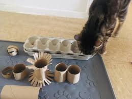 1919 cat puzzle feeder 3d models. 13 Simple Diy Toilet Paper Roll Toys For Cats Caticles