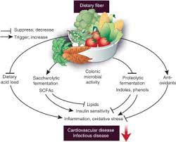 tary fiber and protein nutritional