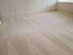 get professional carpet cleaning