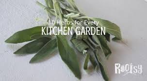 Grow Herbs For The Kitchen Garden