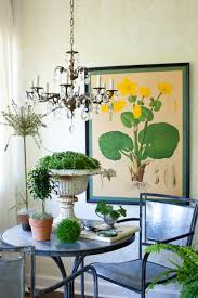 decorating with houseplants town