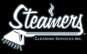 steam cleaning professionals in london on