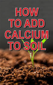 Soil Countryside Soil Calcium
