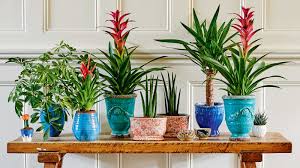 24 indoor planter ideas to brighten up