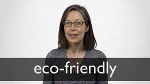 eco friendly definition and meaning