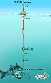 Keep your eyes on the water. 330 Fishing Rig Ideas Fishing Rigs Fishing Tips Rigs