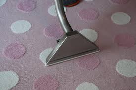 carpet cleaner in ann arbor mi best