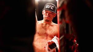 Nathan donald nate diaz (born april 16, 1985) nate is an professional mixed martial artist and fights in the ultimate fighting championship (ufc). 3vwjsedkrv1d1m