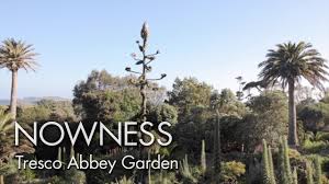 tresco abbey garden by howard sooley