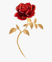 Millions of hd png, unlimited download. Watercolor Rose Flower Flowers Roses Floral Red Beauty And The Beast Single Rose Hd Png Download Transparent Png Image Pngitem
