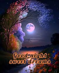 good night sweet dreams take care