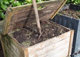 plant friendly compost