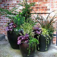 Flower Pots Outdoor Potted Plants