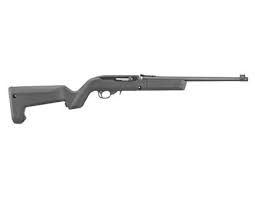 ruger 10 22 s now