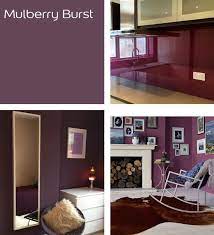 Dulux Mulberry Burst Paint Color