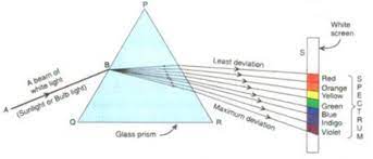 glass prism class 10 the human eyes