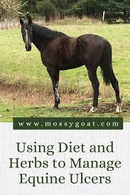 tary and herbal management of equine