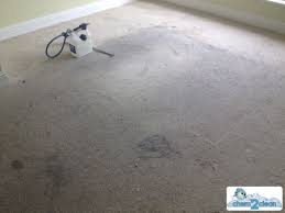 carpet cleaning al properties