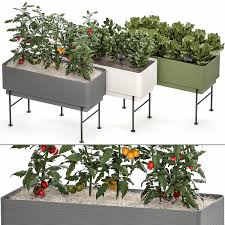 You should look for a container that has drain holes at the bottom so the water drains through the soil when you water your mini garden. Home Mini Garden In A Pot In The Kitchen 526 3d Model In Small Plants 3dexport