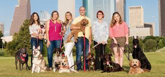 Check spelling or type a new query. Katy Tx Aggressive Dog Training Beyond The Dog Of Houston