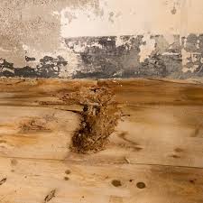 Under normal conditions, wood exposed to air will contain some water. 12 Tips For Water Damage Repair