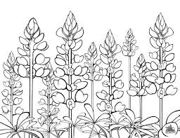 Download these amazing cliparts absolutely free and use these for creating your presentation, blog or website. Texas Bluebonnets Coloring Sheet Etsy Space Coloring Pages Blue Bonnets Flower Drawing