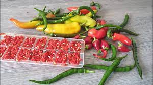 how to freeze chillies you