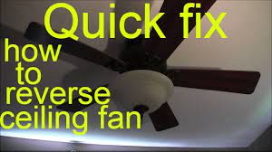 How To Reverse Ceiling Fan You