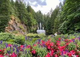 butchart gardens a locals guide to
