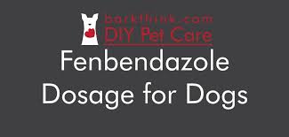 Fenbendazole Dewormer Dosage For Dogs Bark Think
