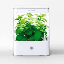 Grow Planter Hydroponic Grow Box