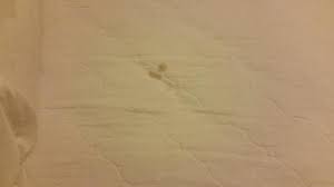 dried blood stains on mattress pad