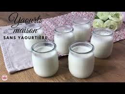 yaourts maison sans yaourtière you