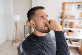 what bugs are causing that smell