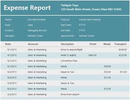 Software Project Post Mortem Template Beautiful Expense Report