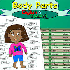 Body Parts English Spanish