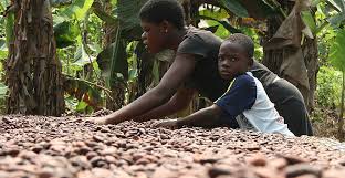 Fast alle staaten der welt haben sich auf das ziel geeinigt, jegliche formen von kinderarbeit bis zum jahr 2025. Kinderarbeit