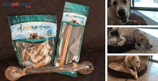 There are bully sticks that have had a napkin stuck to them to preserve their color and allow them to be displayed in a frame for years to come. Are Bully Sticks Safe For Dogs Good Pet Parent