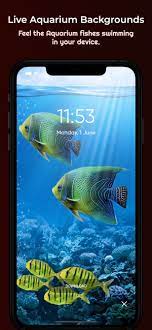 live aquarium wallpaper on the app