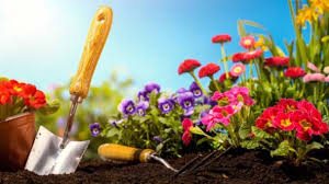 Prepare Garden Soil For Spring Planting