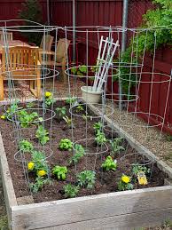 new raised bed vegetable garden design