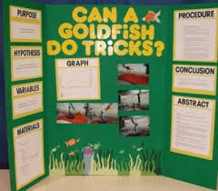 Science Fair Poster Board Directions