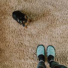 carpet smells musty how to fix that smell