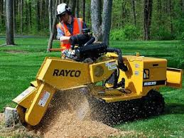 This tool features a powerful 14hp kohler engine that will be able to make quick work of your average stump. Stump Grinding Allied Tree Experts Of S E Connecticut Tree Services Tree Experts