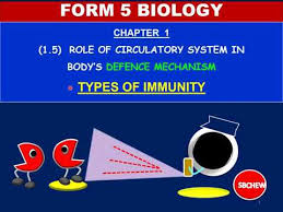 No additional materials are required. Biology Form 5 Chapter 1 1 5 Types Of Immunity Active Immunity Graph Youtube