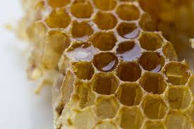 Miel d'abeilles - عسل النحل - فائدة 👨‍🚀🐝🍯 شهد العسل (شمع العسل ) (6/5)  .. و لشمع العسل العديد من الفوائد المتنوعة، نذكر من أهمها: 🐝 5 : تخفيف  الكحة لدى الأطفال (