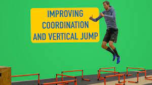 mini hurdles exercise vertical jump
